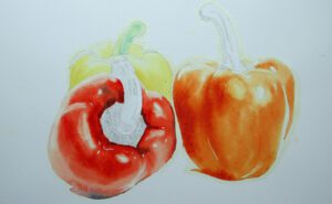 paprikas in aquarel